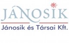 Út menti veszélyes fákat vág ki a Jánosik Kft.