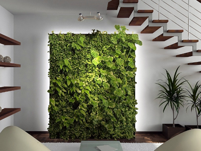 01-interior-design-green-wall-living-wall_20130228175412_65.jpg