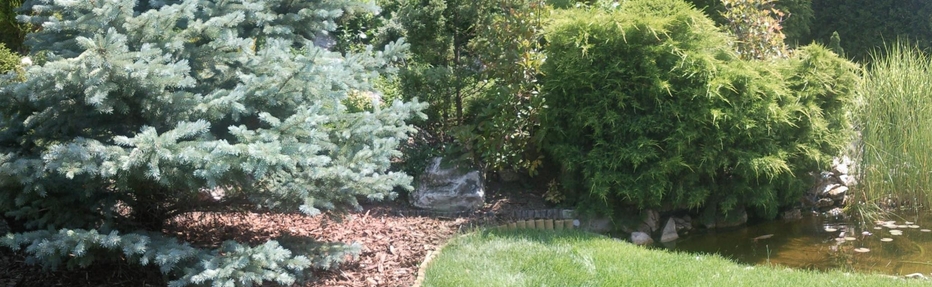 2005-borosmatyas1005_20130228181642_46.jpg 2005-borosmatyas1005_20130228181642_46.jpg