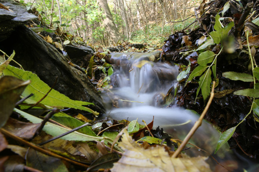 környezetvédelem környezetvédelem