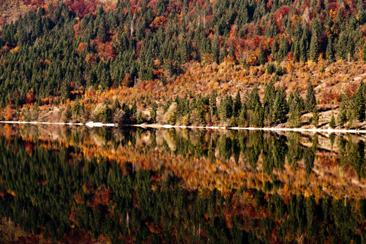 Környezeti állapotvizsgálatok, felülvizsgálatok Környezeti állapotvizsgálatok, felülvizsgálatok