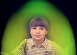david