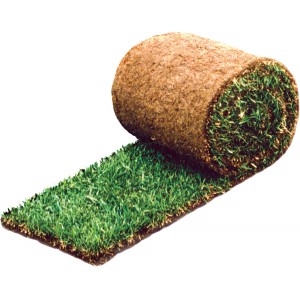 Global Garden Kft. - Automata öntözőrendszer, öntözőrendszer Szentendre, Öntözőrendszer tervezés, öntözőrendszer kivitelezés, Budapest, Győr és környéke