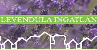 Levendula Ingatlan - ingatlan, hitel, ügyvédi iroda, biztosítások