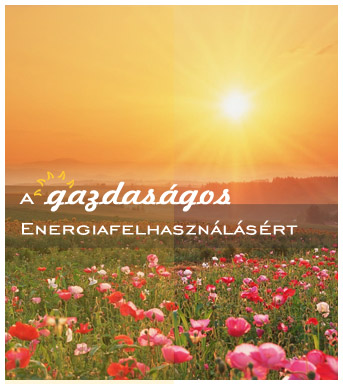 NetSystemSolar - napkollektor, napenergia, megújuló energia