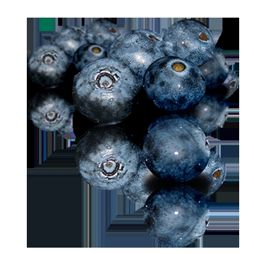 bue_berry