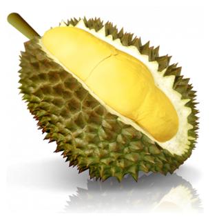 durian