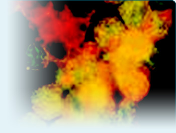 LifeCode - rák tünetei, diabétesz tünetei, szívinfarktus tünetei, szívinfarktus előjelei, infarktus előjelei, cukorbetegség jelei, szívinfarktus jelei, daganatos betegségek, rákkockázat, rákmegelőzés, rák, diabétesz, szívinfarktus