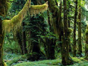 Villing Zsuzsa -One Brain (Egy Agy) tanfolyamok, stressz,kineziológia, belső béke, asztrológia