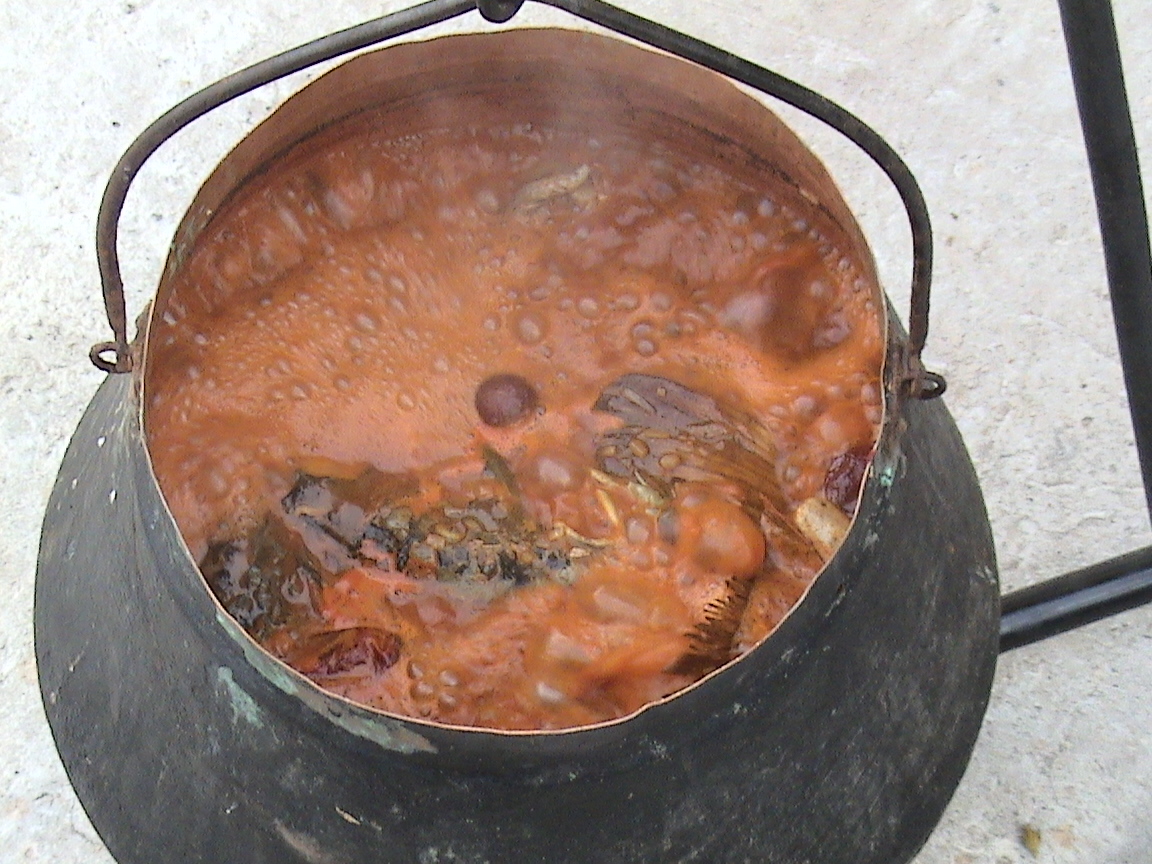 dsc00340_826_2010102895200_72.JPG