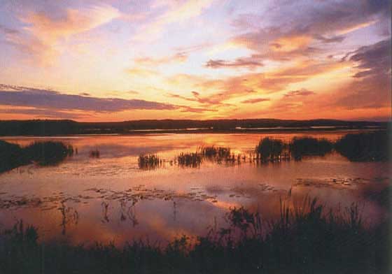 napnyugta_a_mellekagakon_76_2010102894929_72.jpg