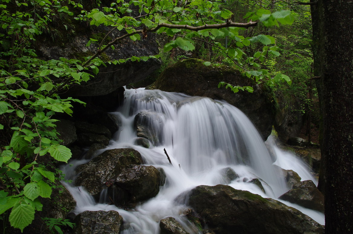Tóth És Társa Bt   Fotózás Egyedi fotók  Portfóliókészítés Családi fotók Budapest Pest-megye Gyermekfotók Kisállat és élőlény fotózás
