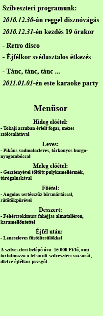 szilveszter_24_681_20101227164022_457.jpg