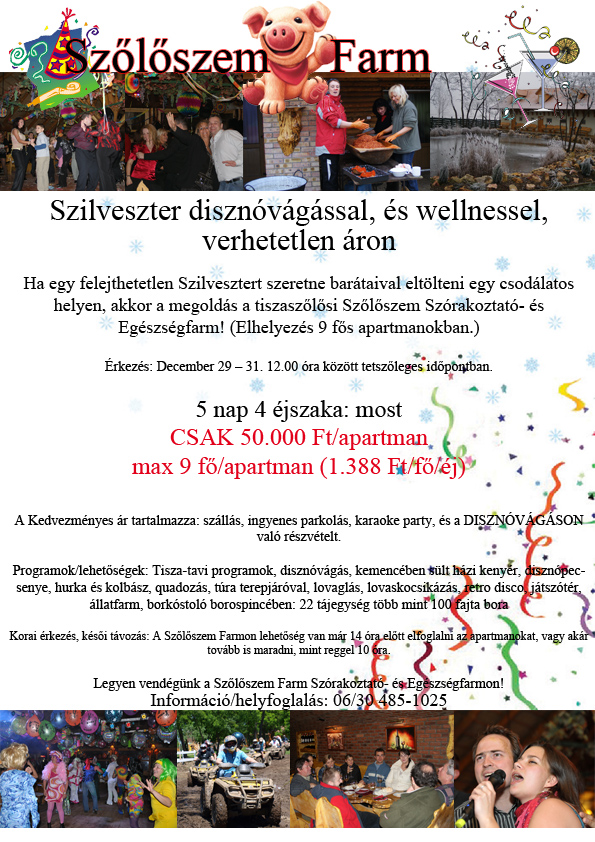 szilveszter_hirdetes_akcios_413_20101227164022_936.jpg