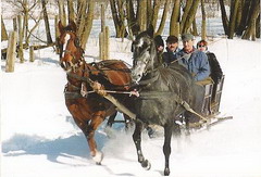 osztálylovaglás lovas pályán
