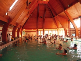 gyogymedence14_886_20110216120148_167.jpg
