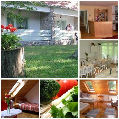 Gerson egészségközpont