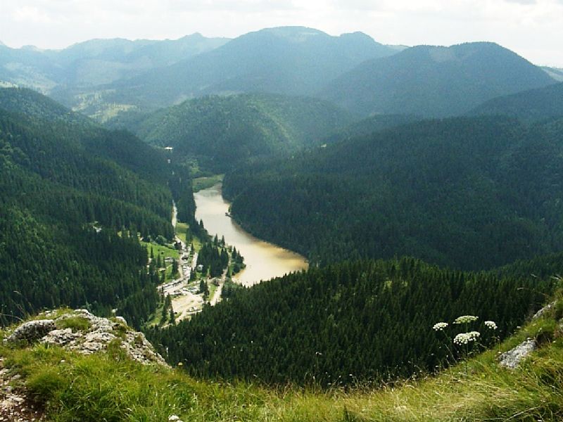 hargita_gyilkos_to_209_20110321112136_999.jpg
