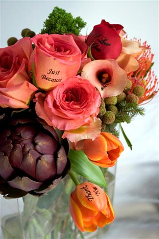 Trend4You - egyedi igényes exkluzív ajándéktárgyak,meglepetés ajándékötletek,stílusos ajándék születésnapra névnapra,díszüveg ajándék,fém italtartó,csoki szökőkút,nászajándék,születésnapi ajándék,házassági évfordulós ajándék