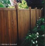 fakerites_534_20110405135243_343.jpg