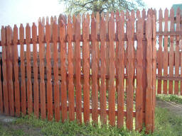 keriteslec_278_20110405135325_415.jpg