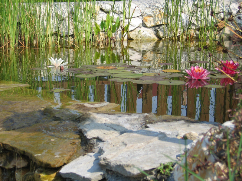 kerti tavak kivitelezése