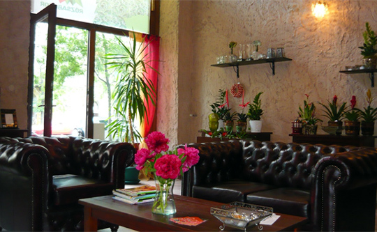 Rózsabokor - Különleges ajándéküzlet Budapest szívében