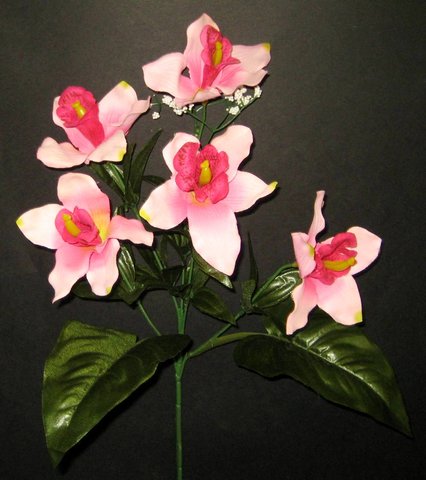 orchidea_ag_227_20110512112900_927.jpg