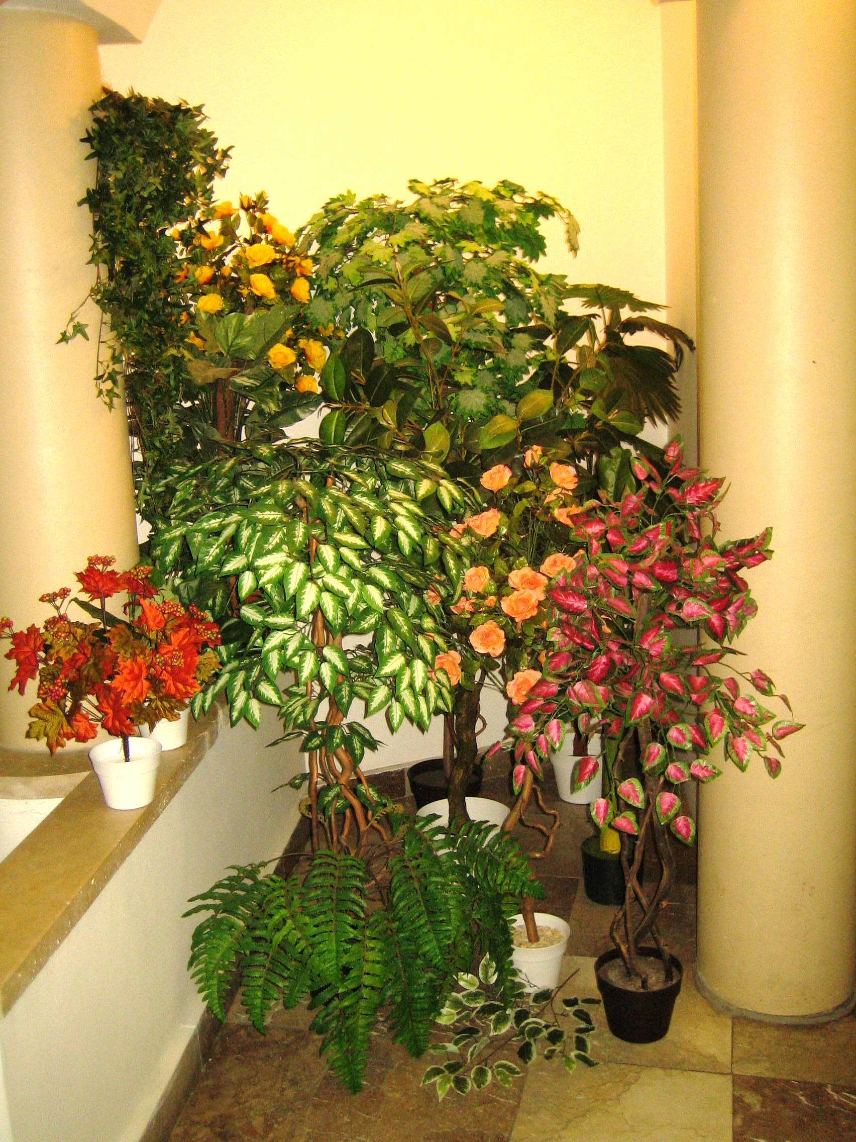 selyemnoveny_10_20110512113658_88.jpg