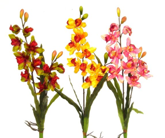 szalas_orchidea_223_20110512112900_892.jpg