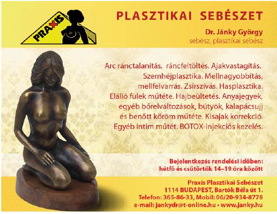 Praxis Plasztikai Sebészet - ajakfeltöltés, anyajegy eltávolítás, arcplasztika, botox kezelés, felkarplasztika,