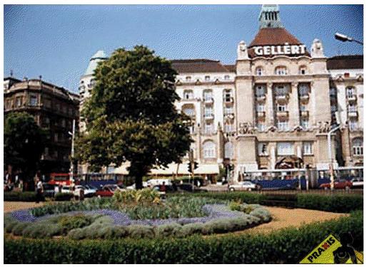 Praxis Plasztikai Sebészet - ajakfeltöltés, anyajegy eltávolítás, arcplasztika, botox kezelés, felkarplasztika,fülcimpa helyreállítása