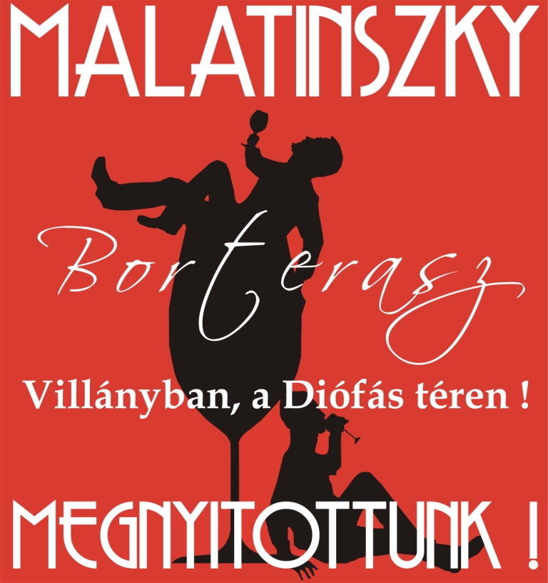 borterasz_20110725120617_10.jpg