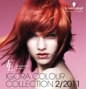 schwarzkopf fodrászat/szalon Budapest, professzionális hajápolási készítmények, exkluzív fodrászat/szalon Budapest,professzionális frizurák Budapest, trendi frizurák Budapest, divatfrizurák vágása Budapest,trendi frizurák vágása Budapest