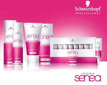 schwarzkopf fodrászat/szalon Budapest, professzionális hajápolási készítmények, exkluzív fodrászat/szalon Budapest,professzionális frizurák Budapest, trendi frizurák Budapest, divatfrizurák vágása Budapest,trendi frizurák vágása Budapest