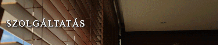 header-szolgaltatas-1_20110912112931_82.gif