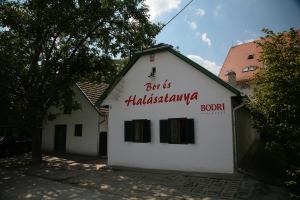 halasztanya_605_20101109125710_875.jpg