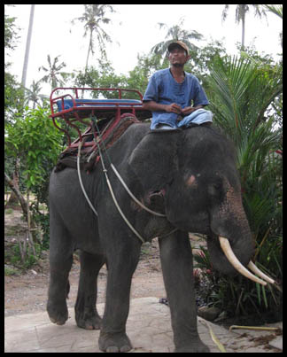 Mantra Samui, Thaiföld befektetés, Thaiföld utazás, Thaiföld pihenés, Thaiföld mantra samui, Thaiföld hotel, Thaiföld apartman, Thaiföld apartman bérbeadás