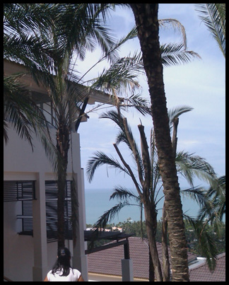 Mantra Samui, Thaiföld befektetés, Thaiföld utazás, Thaiföld pihenés, Thaiföld mantra samui, Thaiföld hotel, Thaiföld apartman, Thaiföld apartman bérbeadás