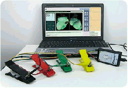 Biorezonancia , Cranio Sacralis , Cellulit masszázs , Állapotfelmérés , Természetgyógyászat , Nyirokmasszázs , egészséges életmód , egészséges táplálkozás, Mellrák , Emlőrák ,Mammográfia , gerincsérv, derékfájás, gyógytornász,infarktus , egészségközpont Biorezonancia , Cranio Sacralis , Cellulit masszázs , Állapotfelmérés , Természetgyógyászat , Nyirokmasszázs , egészséges életmód , egészséges táplálkozás, Mellrák , Emlőrák ,Mammográfia , gerincsérv, derékfájás, gyógytornász,infarktus , egészségközpont