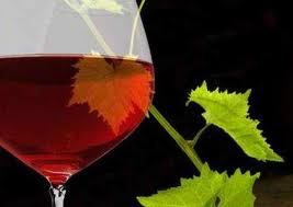 Pántlika Pincészet - A dörgicsei Pántlika Pincészet, ahol a borkereskedelem mellett foglalkoznak vendégfogadással, borkóstolók szervezésével, vállalnak rendezvényeket, kitelepülést és egyedi címkézést, palackozást  is.