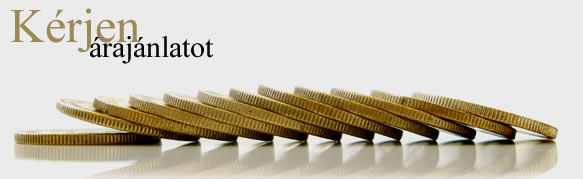 kontrolling rendszer