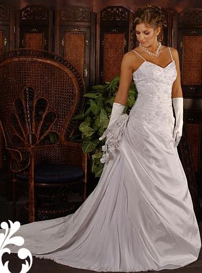 dalia_5840_329_2011030184142_578.JPG