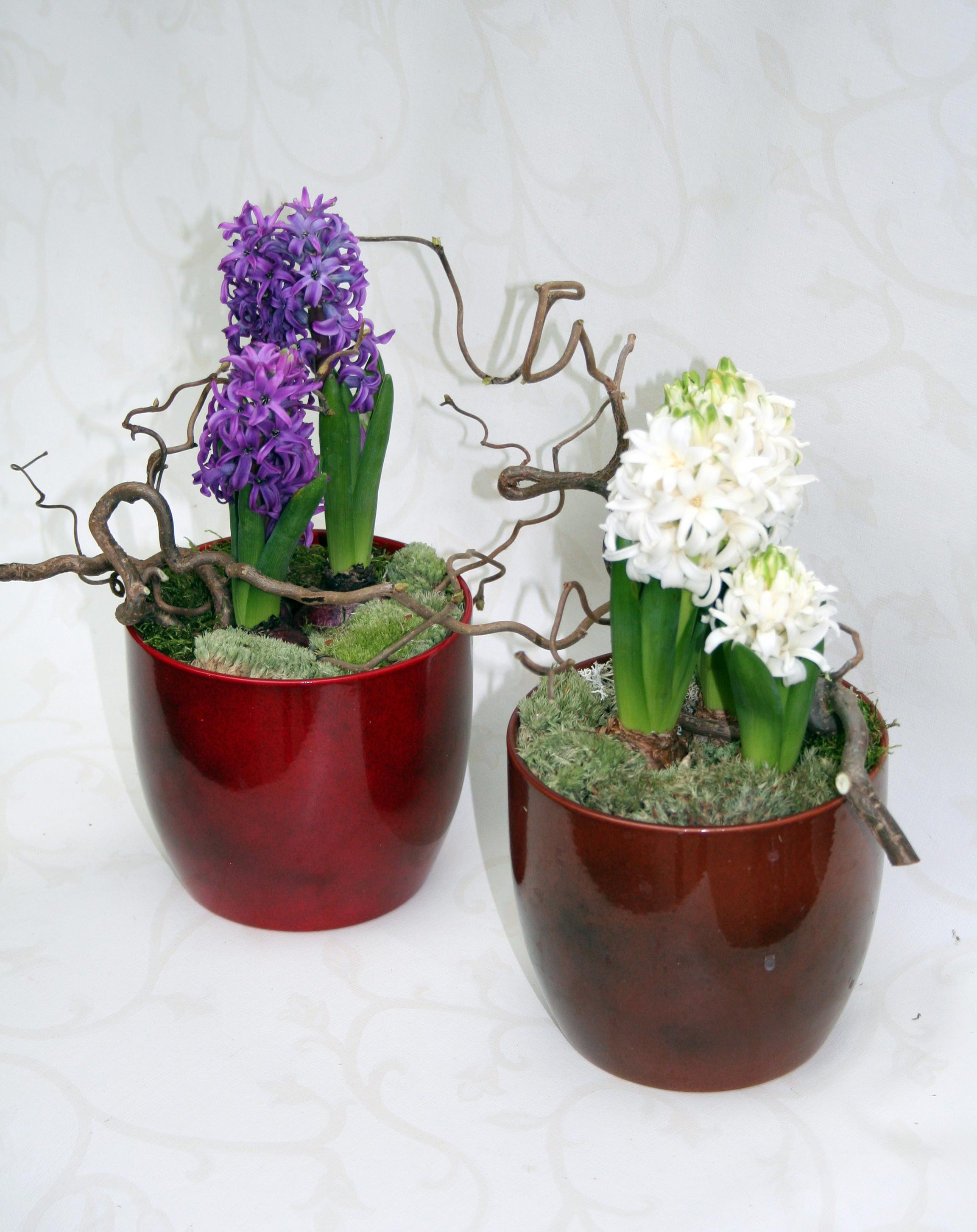 Valentin napi cserepes virág valentin napi swarowski kristály, valentin napi virág, valentin napi ajándék, valentin napi meglepetés,