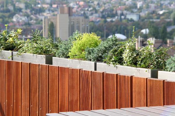 FLEURT Virág - Egy híres virágbolt Budapesten