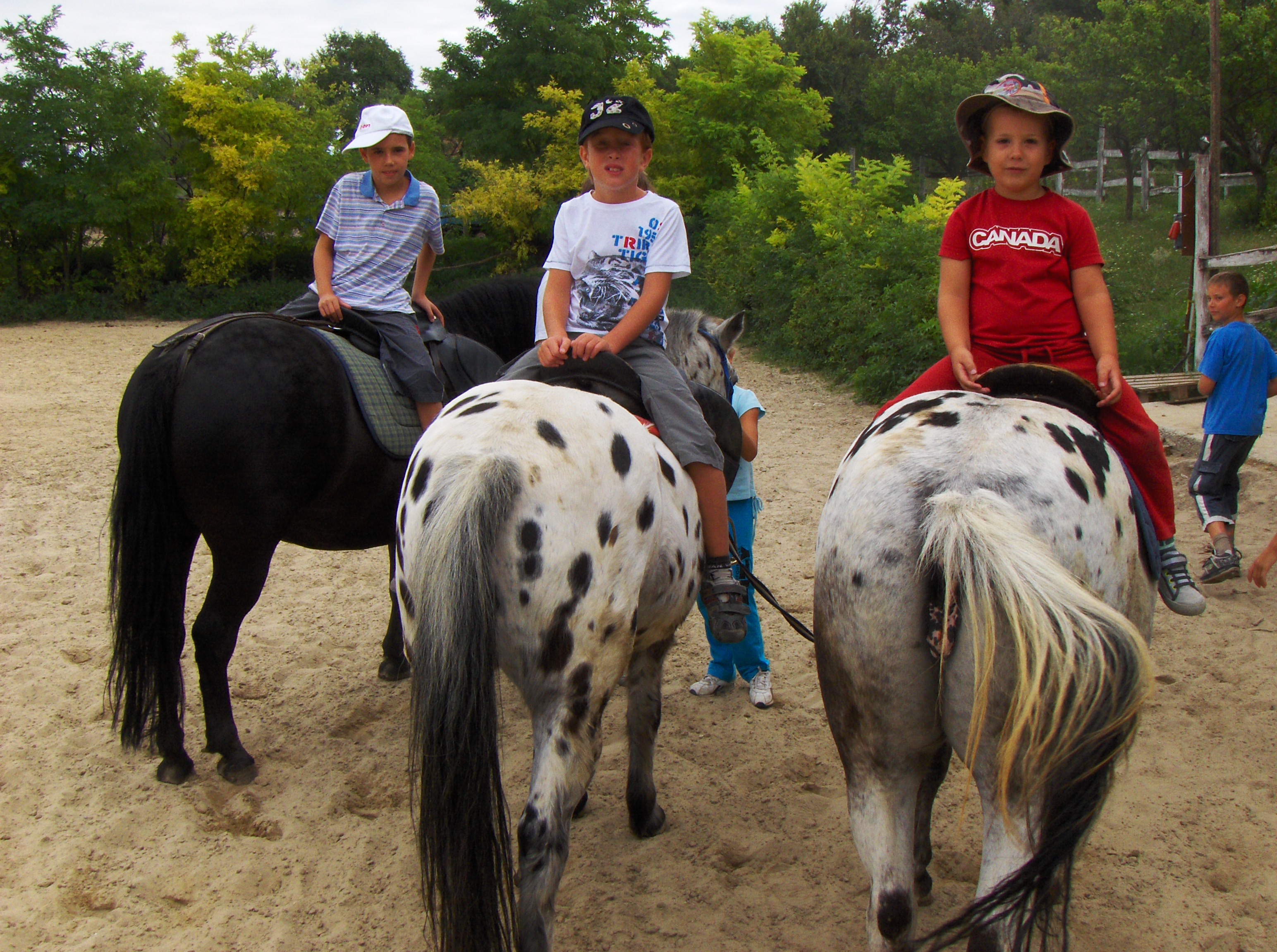 Nyári gyerektábor, Lovastábor