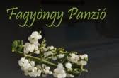 Fagyöngy Panzió