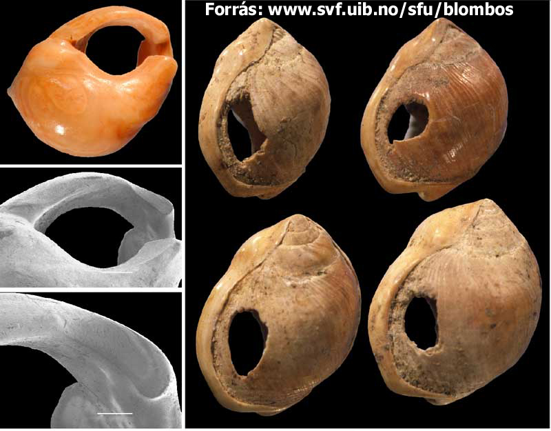 üvegékszer kristályékszer,bizsuékszer,swarovsky ékszer nagy választékban, Bijou club,Bizsu webáruház