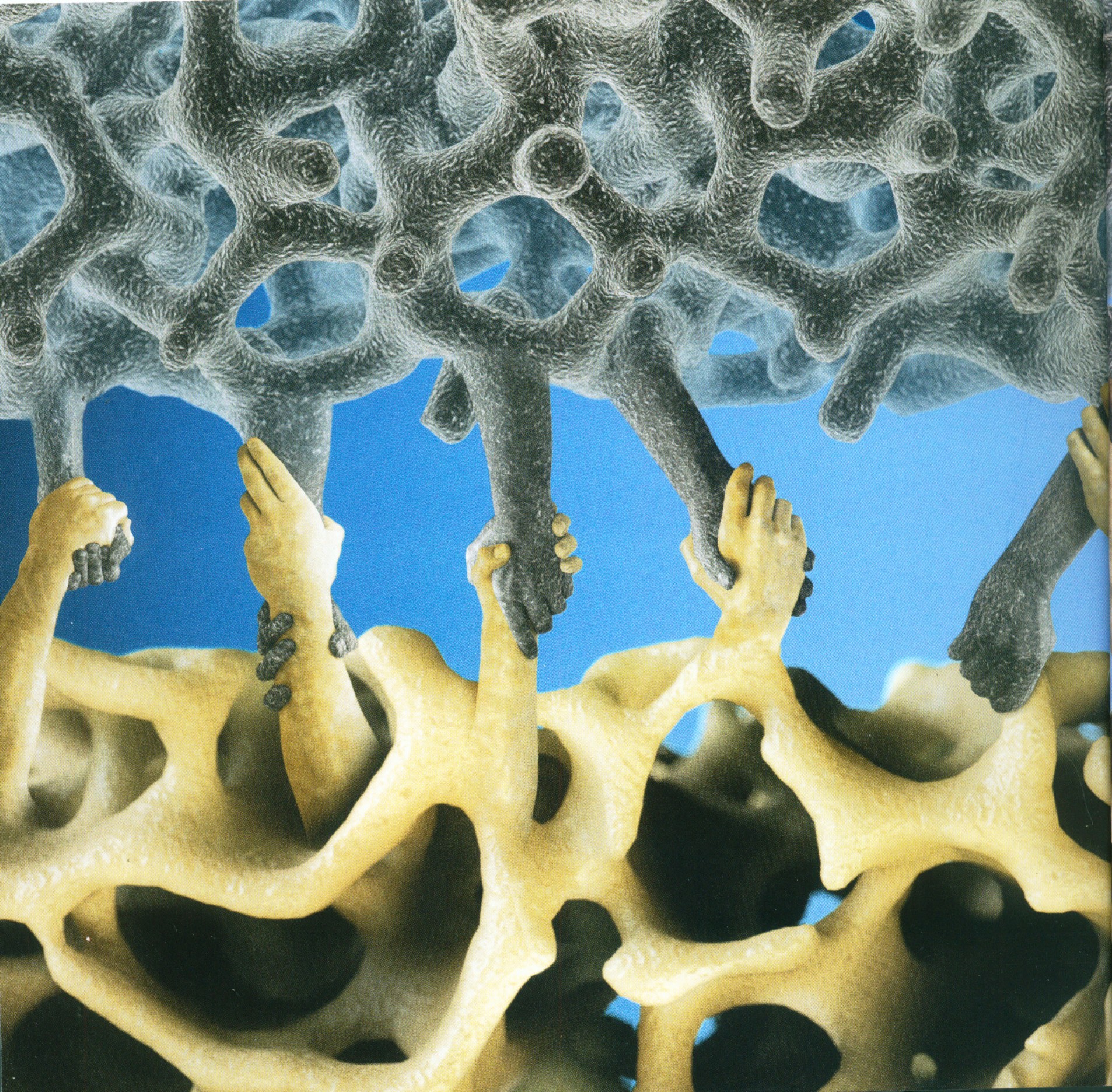 csontsűrűség mérés