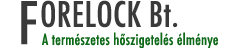Forelock Bt. - Páratechnika, cellulózszigetelés, befújógépek, tömítettség mérés, légtömörség mérés